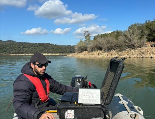 Evaluación cuantitativa de las poblaciones de peces del embalse de Los Hurones (Cádiz)