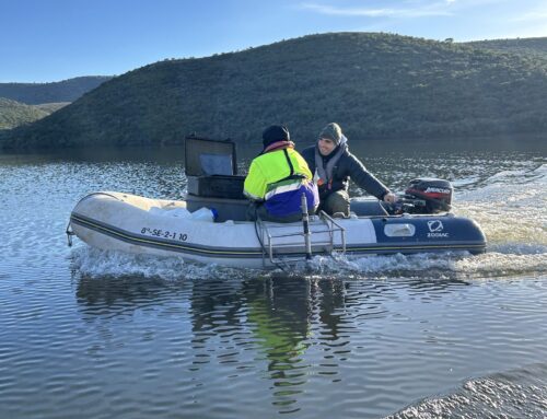 Evaluación cuantitativa de las poblaciones de peces del embalse de Torrejón (Cáceres)